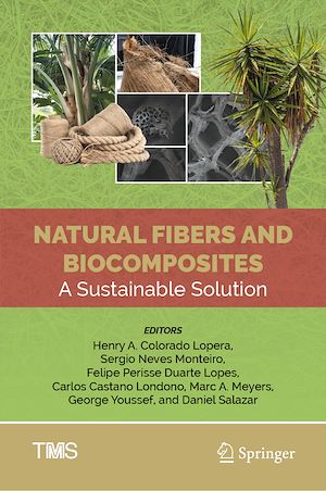 Téléchargez le livre :  Natural Fibers and Biocomposites