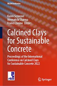 Téléchargez le livre :  Calcined Clays for Sustainable Concrete