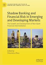 Télécharger le livre :  Shadow Banking and Financial Risk in Emerging and Developing Markets