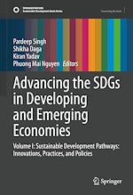 Télécharger le livre :  Advancing the SDGs in Developing and Emerging Economies