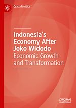 Télécharger le livre :  Indonesia's Economy After Joko Widodo