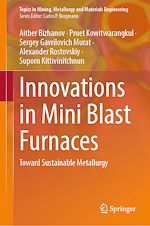 Télécharger le livre :  Innovations in Mini Blast Furnaces