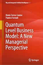 Télécharger le livre :  Quantum Level Business Model: A New Managerial Perspective