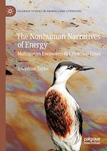 Télécharger le livre :  The Nonhuman Narratives of Energy