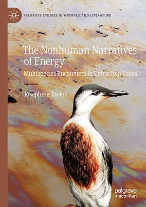 Télécharger le livre :  The Nonhuman Narratives of Energy
