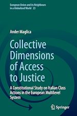 Télécharger le livre :  Collective Dimensions of Access to Justice