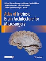 Télécharger le livre :  Atlas of Intrinsic Brain Architecture for Microsurgery
