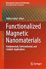 Télécharger le livre :  Functionalized Magnetic Nanomaterials