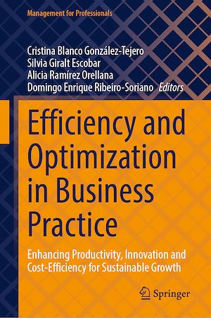 Téléchargez le livre :  Efficiency and Optimization in Business Practice