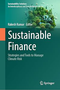Téléchargez le livre :  Sustainable Finance