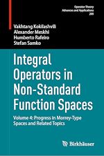 Download this eBook Integral Operators in Non-Standard Function Spaces
