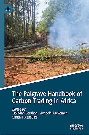 Téléchargez le livre :  The Palgrave Handbook of Carbon Trading in Africa