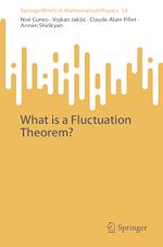 Télécharger le livre :  What is a Fluctuation Theorem?