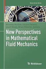 Télécharger le livre :  New Perspectives in Mathematical Fluid Mechanics