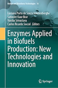 Download this ebook Enzymes Applied in Biofuels Production: New Technologies and Innovation
