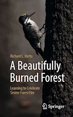 Télécharger le livre :  A Beautifully Burned Forest