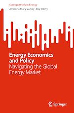 Télécharger le livre :  Energy Economics and Policy