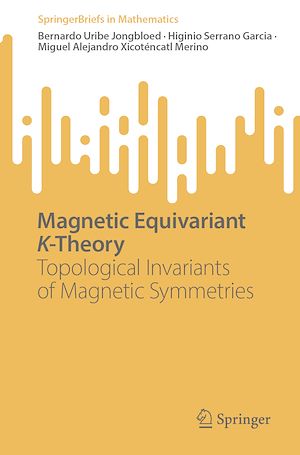 Téléchargez le livre :  Magnetic Equivariant K-Theory