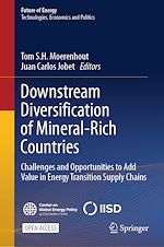 Download this eBook Downstream Diversification of Mineral-Rich Countries