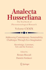 Télécharger le livre :  Addressing Contemporary Sustainability Challenges Through Eco-Imagination