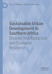 Download this ebook Sustainable Urban Development in Southern Africa