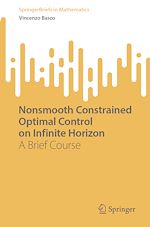 Télécharger le livre :  Nonsmooth Constrained Optimal Control on Infinite Horizon