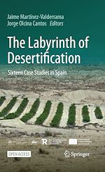 Télécharger le livre :  The Labyrinth of Desertification