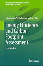Download this eBook Energy Efficiency and Carbon Footprint Assessment