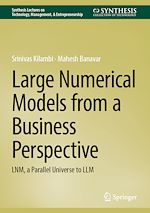 Télécharger le livre :  Large Numerical Models from a Business Perspective