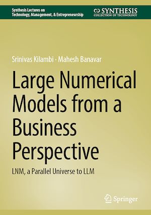 Téléchargez le livre :  Large Numerical Models from a Business Perspective