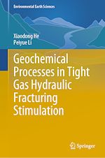 Download this eBook Geochemical Processes in Tight Gas Hydraulic Fracturing Stimulation