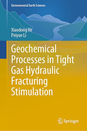 Download the eBook: Geochemical Processes in Tight Gas Hydraulic Fracturing Stimulation