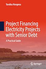 Download this eBook Project Financing Electricity Projects with Senior Debt