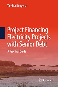 Download this ebook Project Financing Electricity Projects with Senior Debt