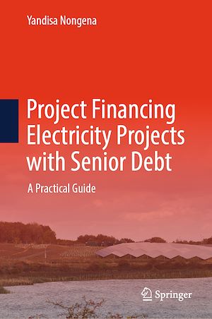 Download the eBook: Project Financing Electricity Projects with Senior Debt