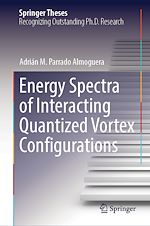 Télécharger le livre :  Energy Spectra of Interacting Quantized Vortex Configurations