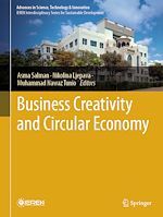 Download this eBook Business Creativity and Circular Economy