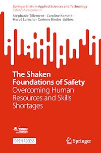 Download this ebook The Shaken Foundations of Safety
