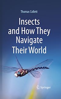 Download this ebook Insects and How They Navigate Their World