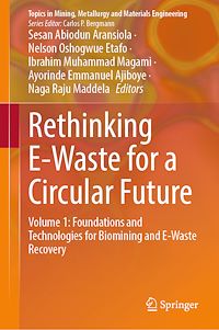 Download this ebook Rethinking E-Waste for a Circular Future