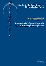 Download this eBook La subsidiarité