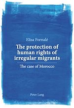 Download this eBook The protection of human rights of irregular migrants