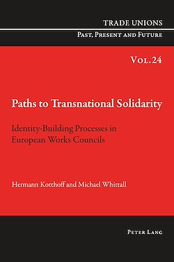 Télécharger le livre :  Paths to Transnational Solidarity
