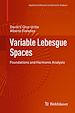 Télécharger le livre :  Variable Lebesgue Spaces