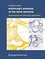 Télécharger le livre :  Endoscopic Anatomy of the Third Ventricle