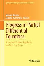 Télécharger le livre :  Progress in Partial Differential Equations