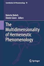 Télécharger le livre :  The Multidimensionality of Hermeneutic Phenomenology