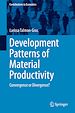 Télécharger le livre :  Development Patterns of Material Productivity