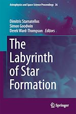 Télécharger le livre :  The Labyrinth of Star Formation