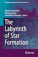 Télécharger le livre :  The Labyrinth of Star Formation